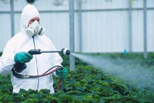 Organophosphate pesticide spraying-376x253
