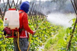 Read more about the article WHY PESTICIDES COULD BE THE BIGGEST RISK POSED BY CORPORATE AGRICULTURE