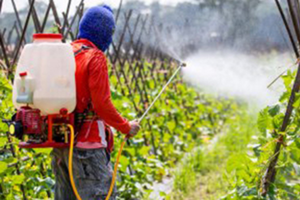You are currently viewing WHY PESTICIDES COULD BE THE BIGGEST RISK POSED BY CORPORATE AGRICULTURE