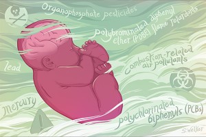 Read more about the article CALL TO ACTION ON NEUROTOXIN EXPOSURE IN PREGNANT WOMEN AND CHILDREN
